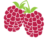 berries have lots of healthy fiber