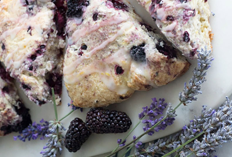 oregon berries the home cooks kitchen blackberry lavender scones
