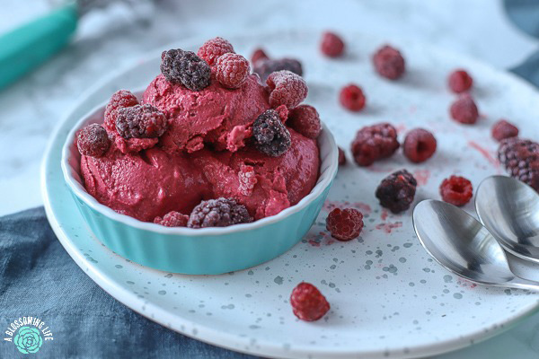 Oregon Berries a Blossoming Life Berry Homemade Frozen Yogurt