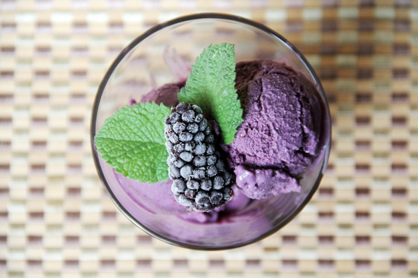 oregon berries crafty staci blackberry mint ice cream