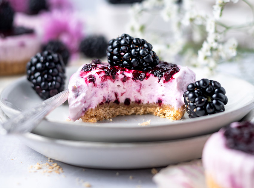 orbc two sugar bugs mini no bake blackberry cheesecake