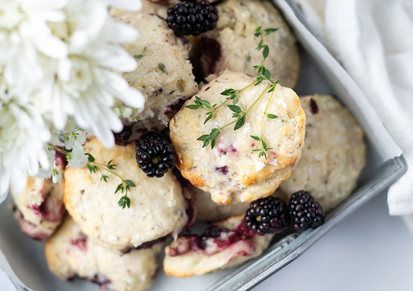 orbc two sugar bugs blackberry thyme goat cheese biscuits