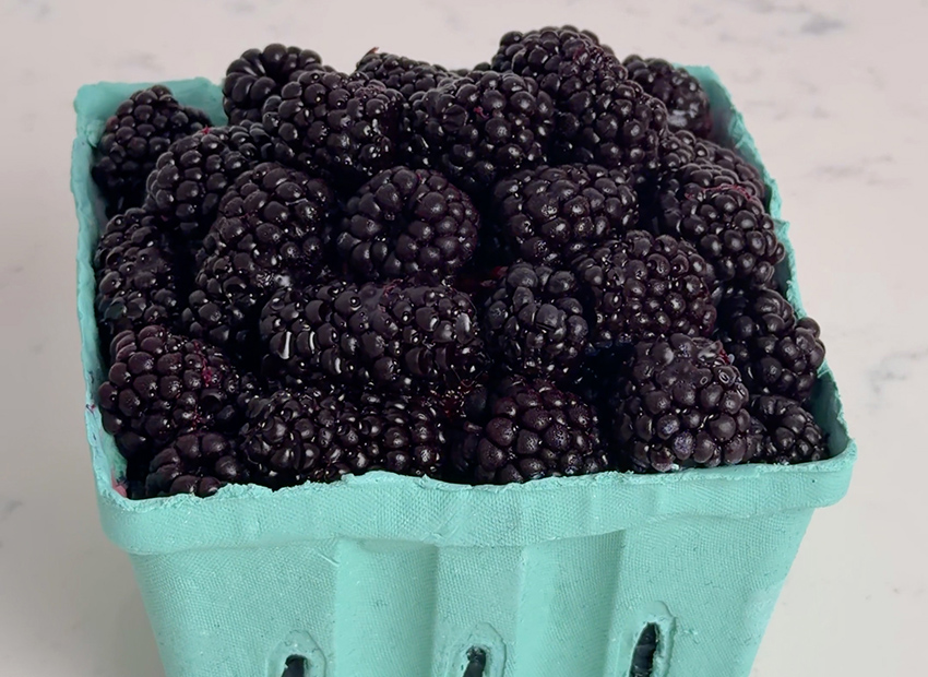 orbc sugar geek show blackberry gummies