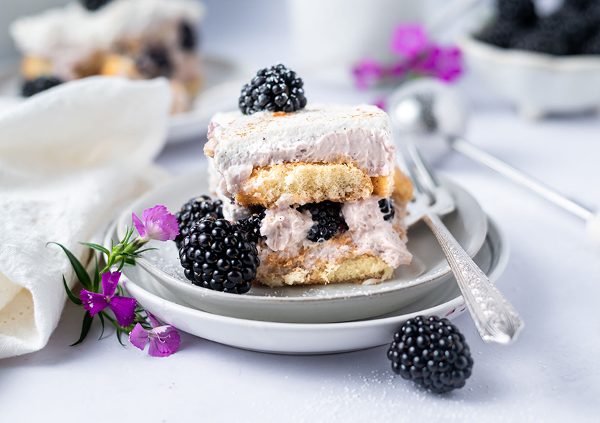 orbc two sugar bugs blackberry tiramisu