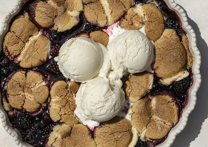 oregon berries healthy little vittles two ingredient sugar cookie frozen berry cobbler